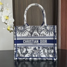 Christian Dior Shopping Bags